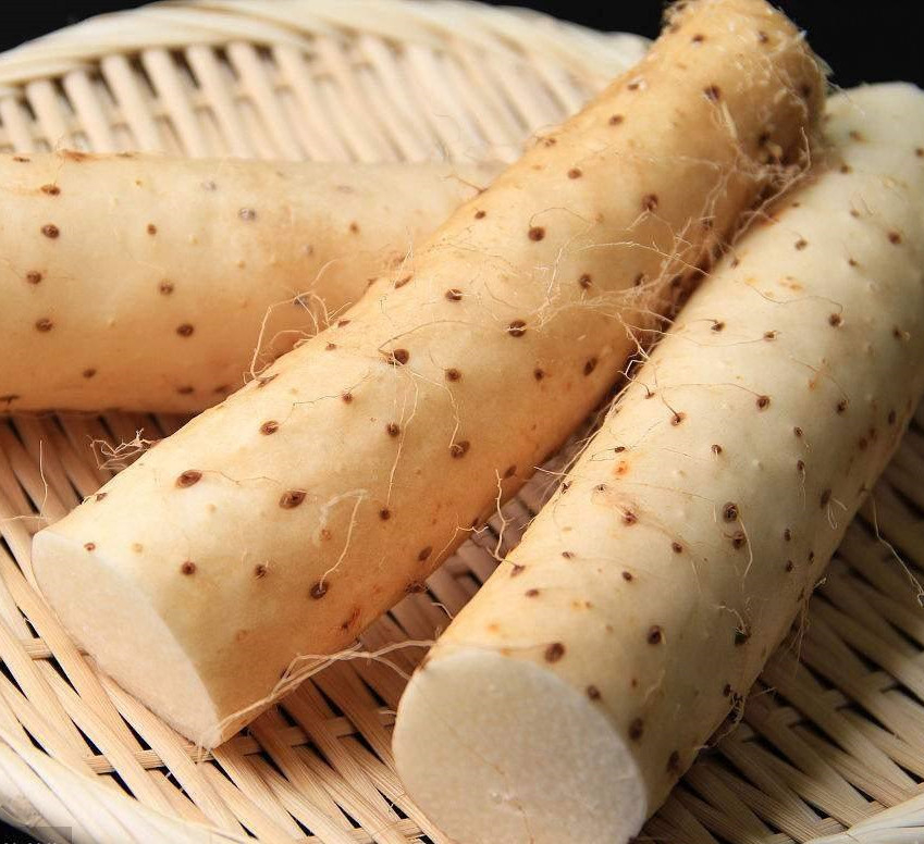 Chinese Yam