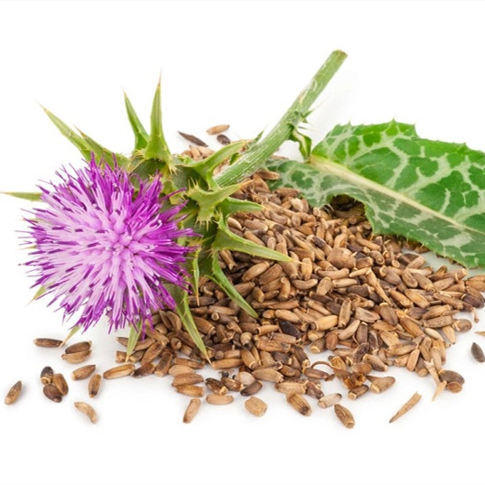 Milk Thistle