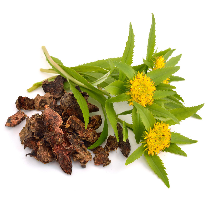 Rhodiola Root