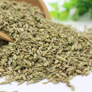 Fennel Seed