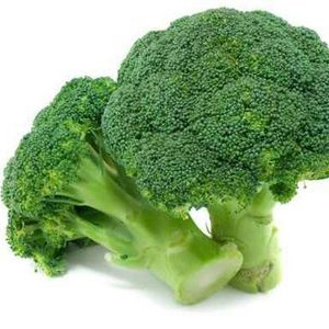 Broccoli